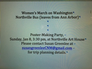 Northville, MI Women to Women's March